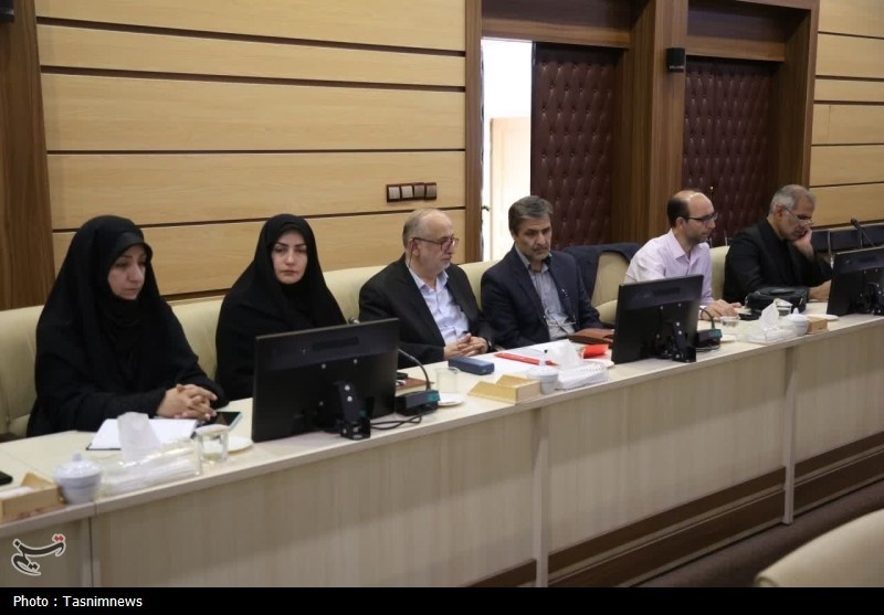 اخبار زنجان , آسیبهای اجتماعی ,