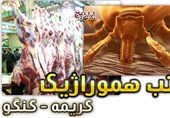 ببینید|تب کریمه کنگو چیست؟/ازراه‌های پیشگیری تا اثربخشی 80 درصدی درمان