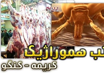 ببینید|تب کریمه کنگو چیست؟/ازراه‌های پیشگیری تا اثربخشی 80 درصدی درمان