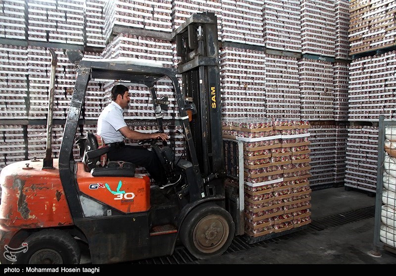 عکاسی , عکس , فرهنگ و هنر , هنرهای تجسمی ,