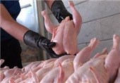 صادرات گوشت مرغ مجاز مشروط شد