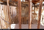 در راوایات است که ارواح مومنین در این قبرستان گرد هم می‌آیند و هر مومنی که از دنیا برود ملکی روحش را به اینجا می‌آورد و هر کس که در این قبرستان دفن شود عذاب قبر از او برداشته می‌شود.