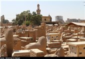در این قبرستان علاوه بر قبور اهالی عراق، قبور مردم مختلفی از ایران، هند، پاکستان، لبنان و ... دیده می‌شود در قبرستان وادی السلام قبور بسیاری از علما و انبیاء الهی وجود دارد