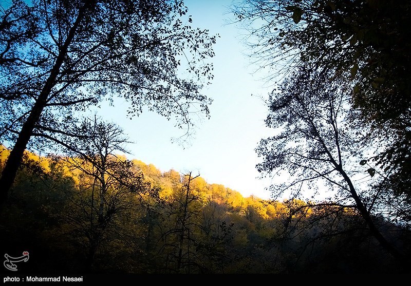 پاییز در جنگلهای گلستان