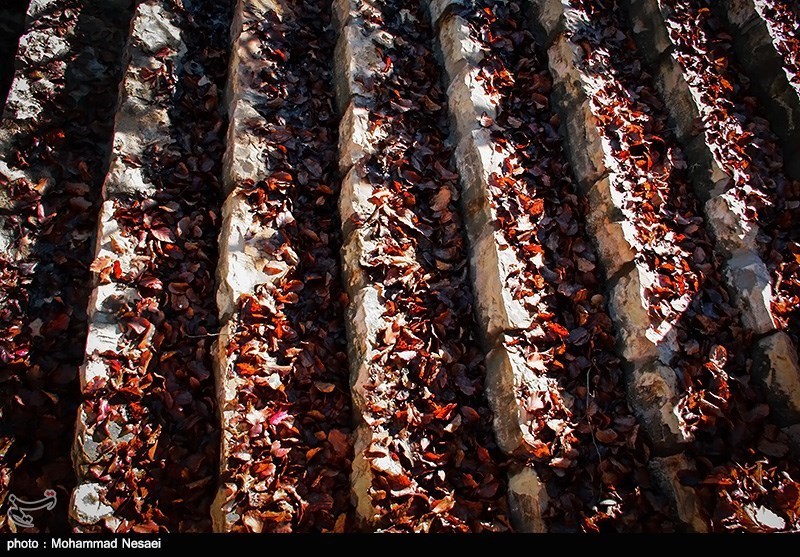 پاییز در جنگلهای گلستان