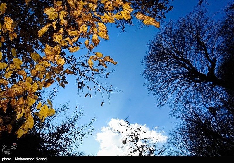 پاییز در جنگلهای گلستان