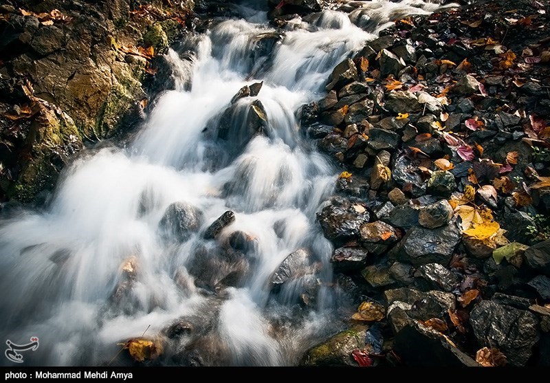 پاییز در جنگلهای گلستان
