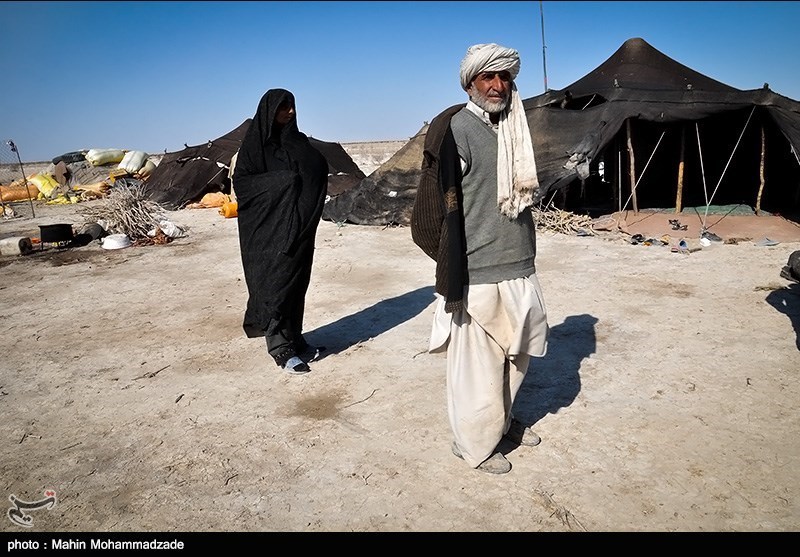دریاچه هامون , استان سیستان و بلوچستان , سازمان محیط زیست , 