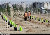 آیین روز درختکاری در مشهد 