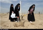 آیین روز درختکاری در مشهد 