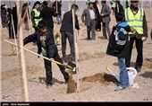 آیین روز درختکاری در مشهد 