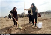 آیین روز درختکاری در مشهد 