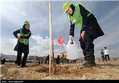 آیین روز درختکاری در مشهد 