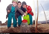 آیین روز درختکاری در مشهد 