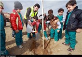 آیین روز درختکاری در مشهد 
