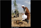 آیین روز درختکاری در مشهد