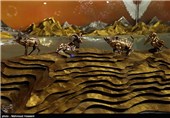 سالن آینه مجموعه فرهنگی هنری برج آزادی