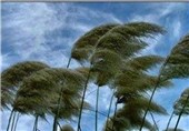 وزش باد شدید و گردوخاک در برخی مناطق استان فارس