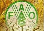 «فائو» خواستار کمک فوری برای افغانستان شد