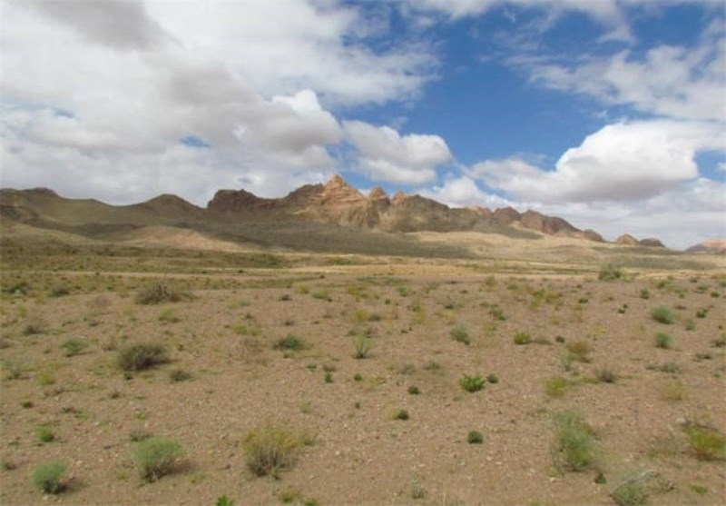 «کوه اشکر » شکار ممنوع شد