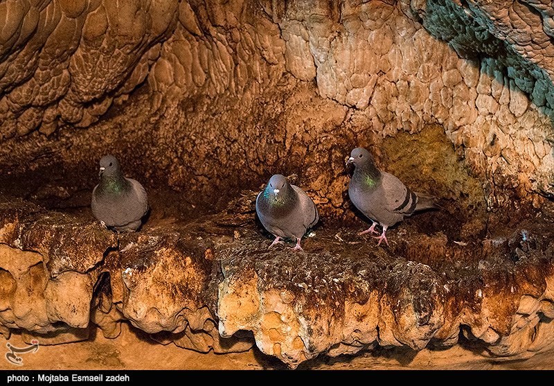 غار آبی سهولان