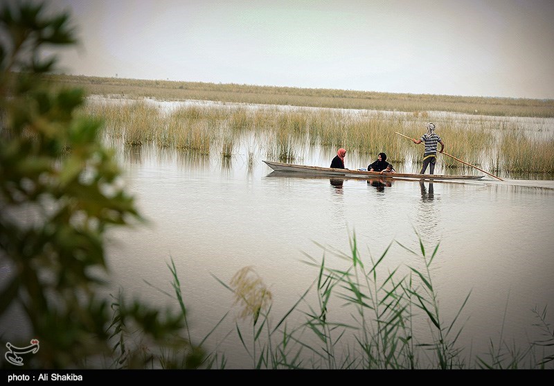 تالاب  بین المللی شادگان