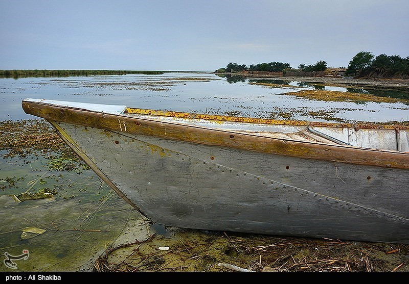 تالاب  بین المللی شادگان