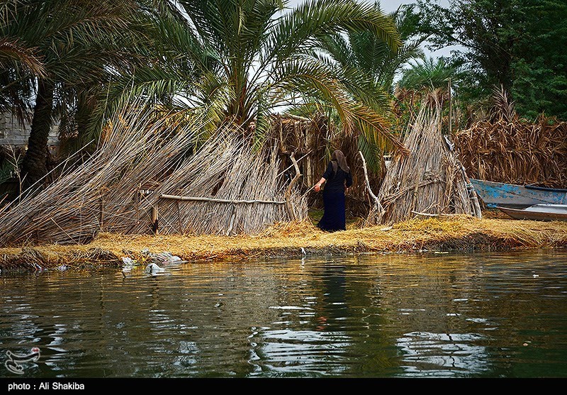 تالاب  بین المللی شادگان