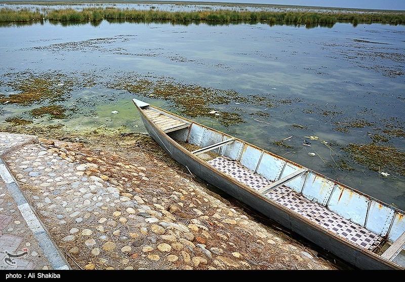 تالاب  بین المللی شادگان