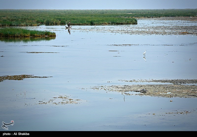 تالاب  بین المللی شادگان