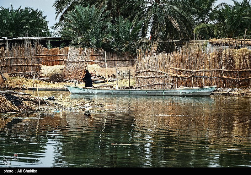 تالاب  بین المللی شادگان