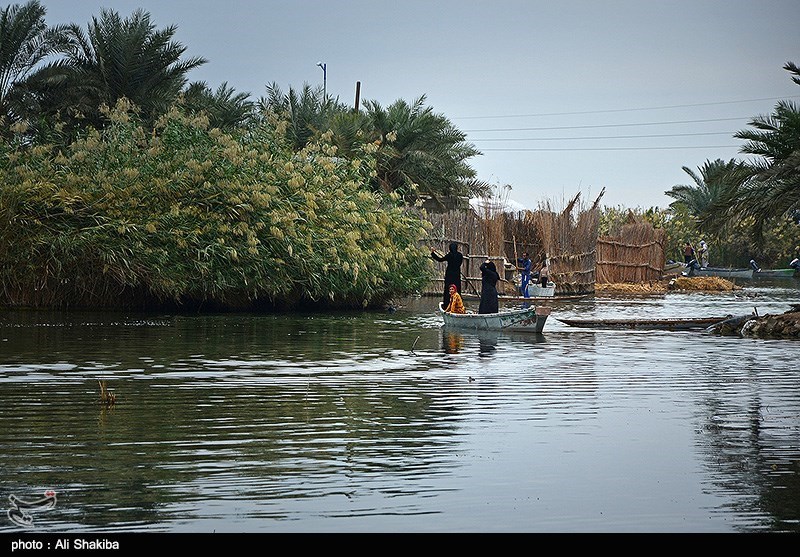 تالاب  بین المللی شادگان