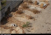 به گفته یکی از همسایگان این خانه تاریخی ،  در فروردین ماه گذشته اکثر درختان باغ را شبانه قطع کرده و پس از آن در باغ  12 حلقه چاه حفر کردند