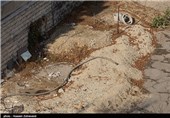 بزرگ ترین خانه تاریخی تهران در حال تخریب