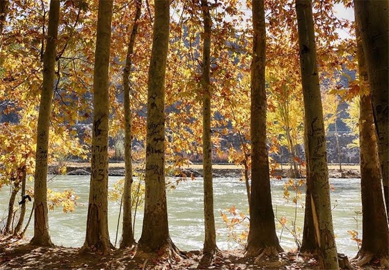 شتاب جریان آب زاینده‌رود برای احیای زمین‌های کشاورزی شرق///انتشار///