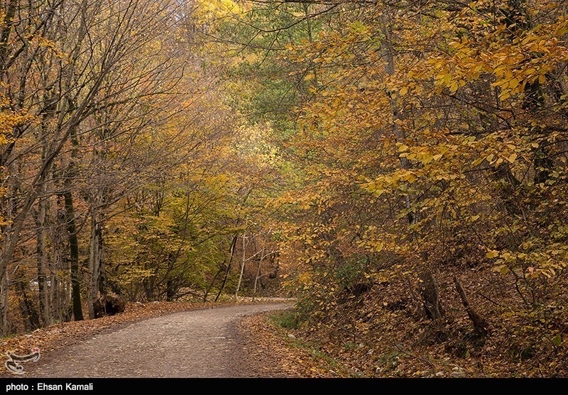 طبیعت پاییزی جنگل گلستان و آبشار لوه