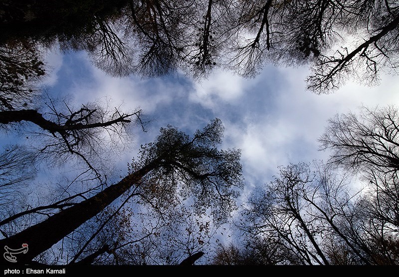طبیعت پاییزی جنگل گلستان و آبشار لوه