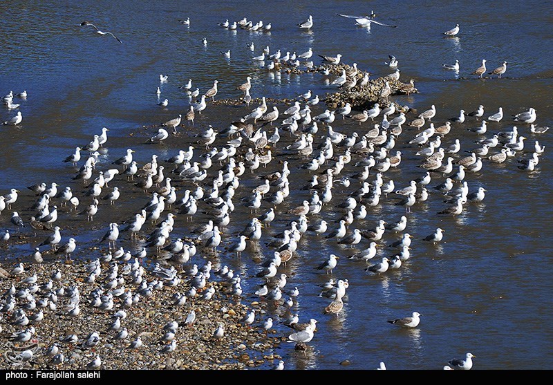 استانداری مازندران , پایش و نظارت در محیط زیست , 