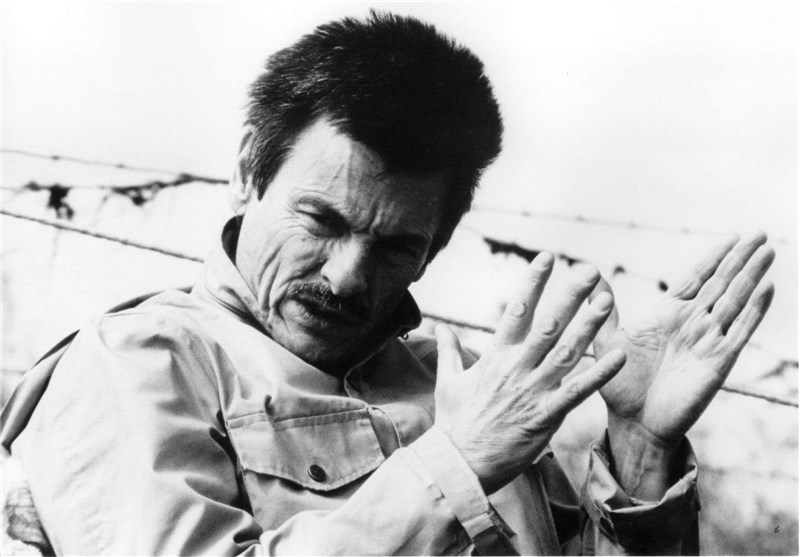 جشنواره جهانی فیلم فجر , فیلم , سینما , 