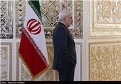 دیدار و نشست خبری وزرای امور خارجه ایران و کرواسی