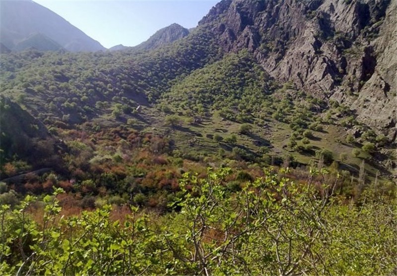 مناطق گردشگری گچساران