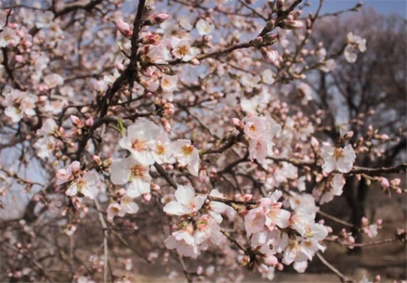 دمای هوای آذربایجان‌غربی افزایش می‌یابد