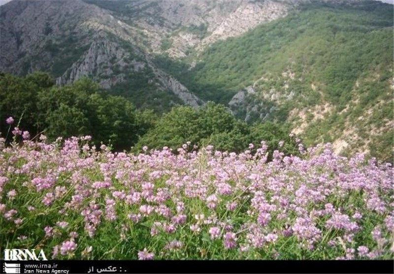 خراسان شمالی