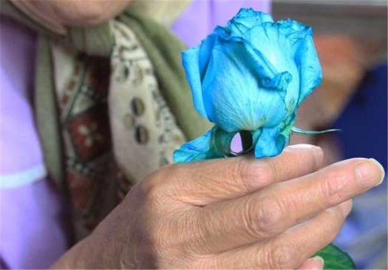 سرای سالمندان اندیمشک با مشارکت خیران احداث می‌شود