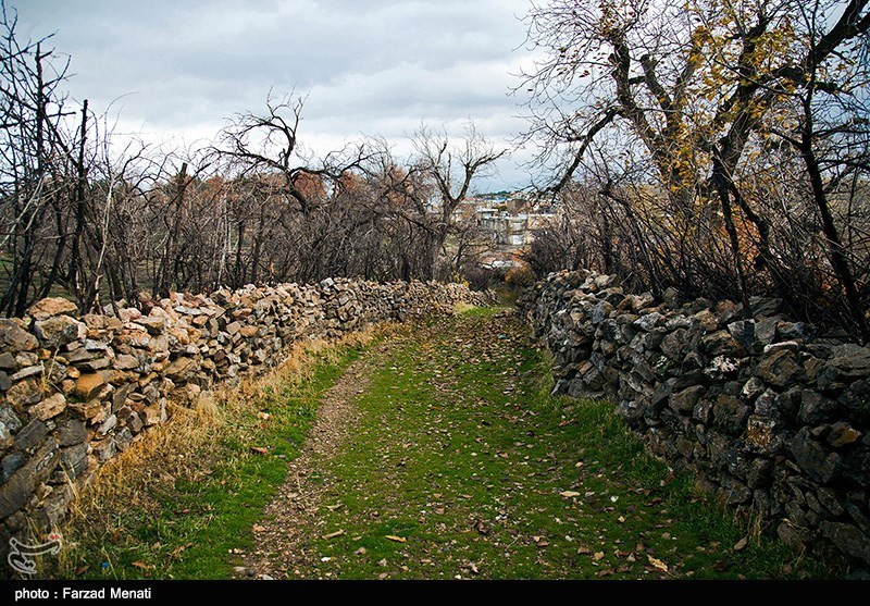 بهار کرمانشاه