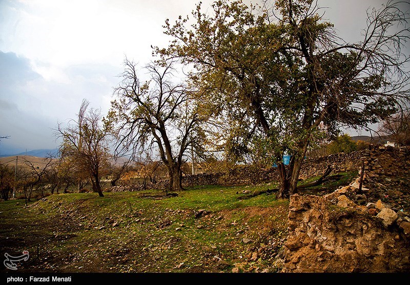 بهار کرمانشاه