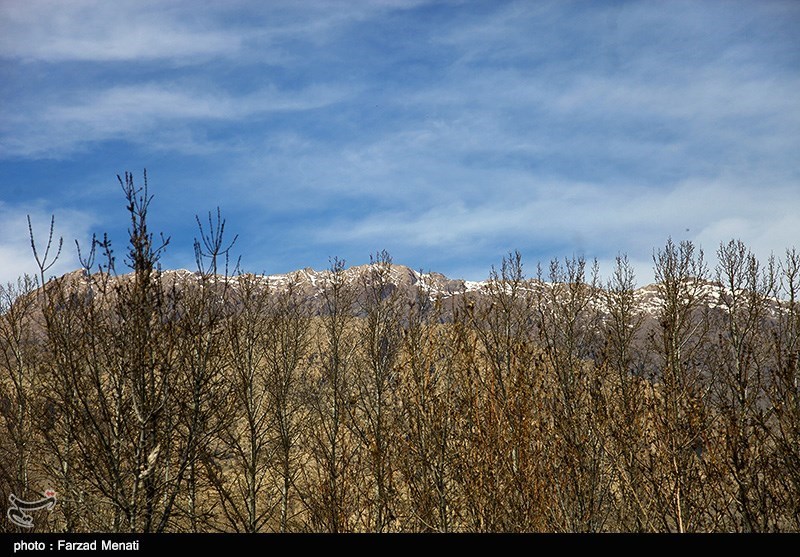 بهار کرمانشاه