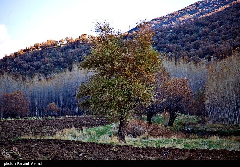 بهار کرمانشاه
