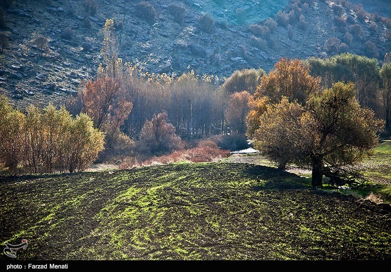 بهار کرمانشاه
