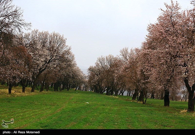 طبیعت بهاری - چهارمحال و بختیاری